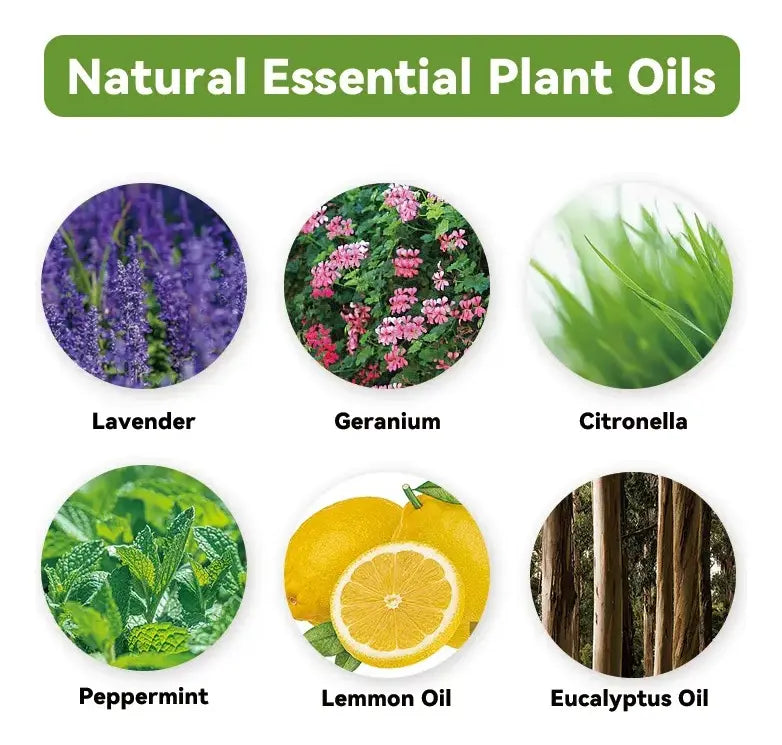 Colet Repelente Piojo Elastipiojo Aceites Naturales 4 Unid
