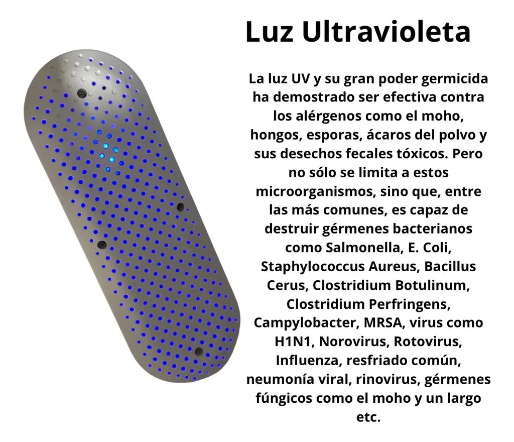 Secador Bactericida Zapato Desinfecta Ultravioleta Adaptador