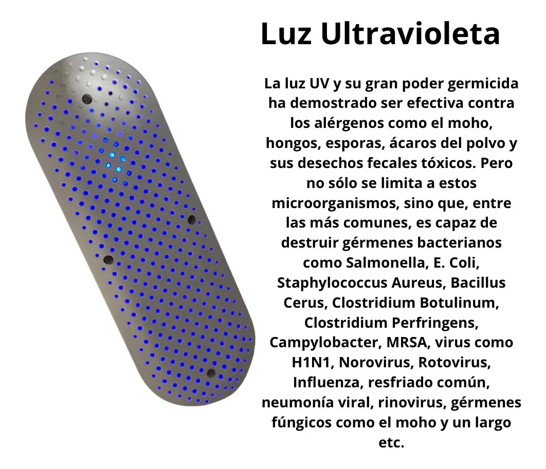 Secador Bactericida Zapato Desinfecta Ultravioleta Adaptador