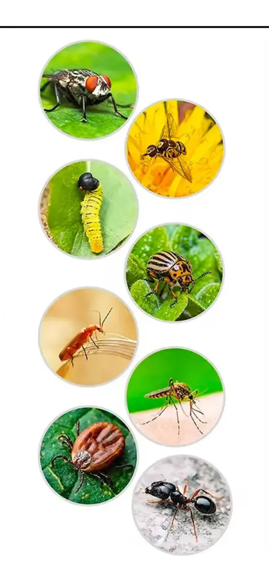 Trampa Adhesiva Moscas Mosquitos Mata Insectos Jardín Cocina